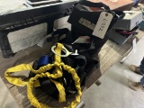 Pair of Harnesses