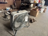 Electric Fans