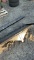 Kivel Skid Loader Receiver