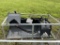 2025 Wolverine Skid Steer Grapple Bucket