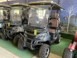 Irgc80 Electric Golf Cart (new)