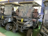 Irgc80 Electric Golf Cart (new)