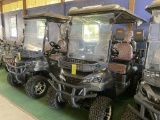 Irgc80 Electric Golf Cart (new)