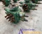 Most 1 1/2'' PR 2 9/16'' Double Hydraulic BOP (UNUSED)