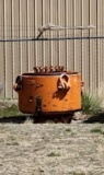 TITAN 11'' X 5000# ANNULAR BOP