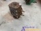 Most 1 1/2'' PR 2 9/16'' Double Hydraulic BOP (USED)