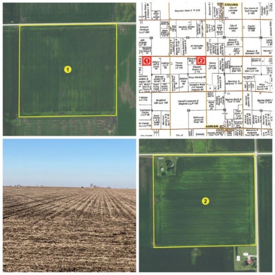 Hancock County, IL Land Auction - 79.41 Acres