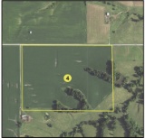 TRACT 4 - 55.1 surveyed acres