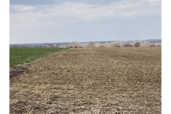 TRACT 1 - 42.62 Surveyed Acres