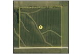 TRACT 1 - 41.87 surveyed acres