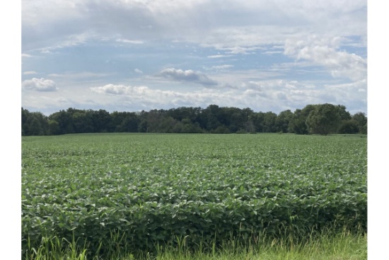 Hancock County, IL Land Auction