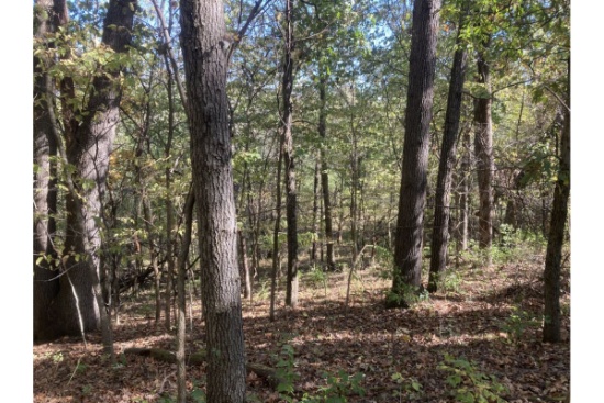 TRACT 1 - 90.11 surveyed acres