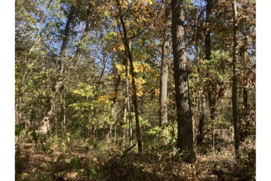 TRACT 2 - 83.37 surveyed acres