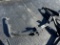 Trailer Hitch