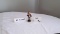 M.I. HUMMEL FIGUREINE #124