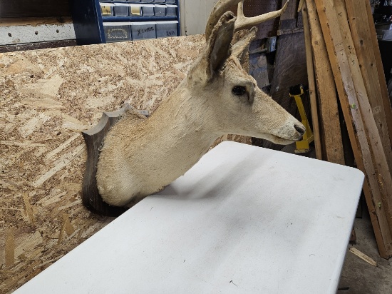 ARCHERY LIQUIDATION