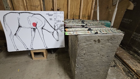 INCLUDES DEER TARGET, ARROWS VARIOUS, AND FOAM BLOCKS 3