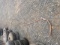 CABLE FOR TOWING OR LIFT
