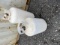 2 WHITE METAL TANKS