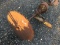 Wood Saw