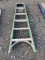 Ladder 6ft