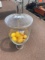 Large Glass Vase