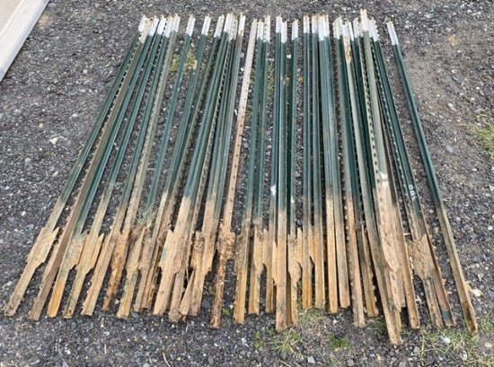 6ft Metal T Post