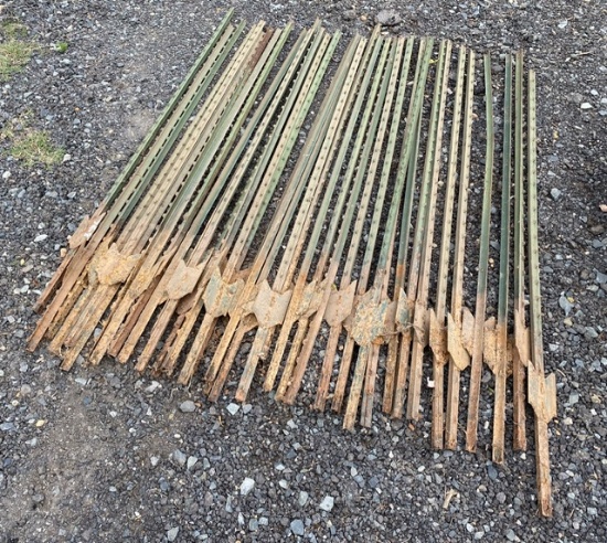 6ft Metal T Post