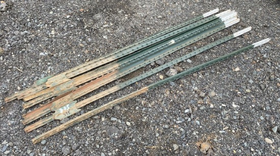 7ft Metal T Post