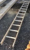 Ladder 12ft