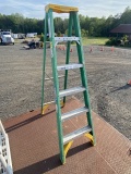 Werner 6ft Ladder