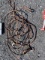 Cable with Hook