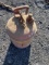 Gas Can
