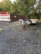 1973 Transport Tilt Top Trailer
