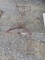 Antique Hay Hook