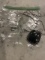 Labarodorite Necklace