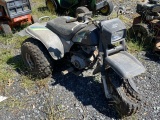Kawasaki 3 Wheeler