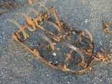 Spring Tooth Harrow