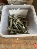 Box of Carriage Bolts