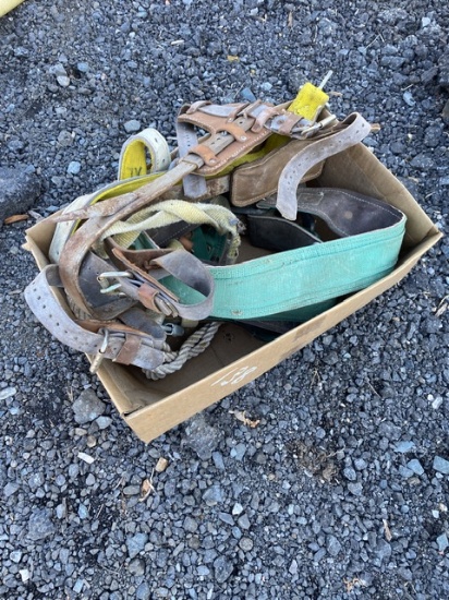 Tree Climbing Gear