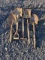 Shovels