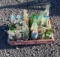 Antique Glass Bottles