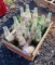 Antique Glass Bottles