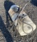 15 Gallon Sprayer