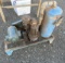 Surge Vacuum Pump