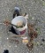 Bucket of Miscellaneous, Chain, Chainsaw Chain, Meat Grinder