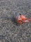 Husqvarna 120 Chainsaw