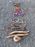 Halter’s and Miscellaneous