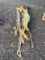 Tree Climbing Gear