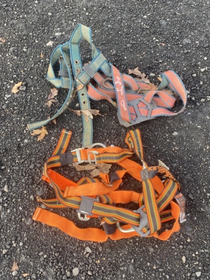Tree Climbing Gear